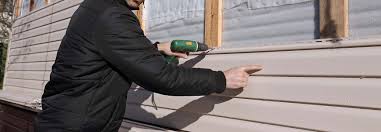 Best Custom Trim and Detailing for Siding  in Wellton, AZ